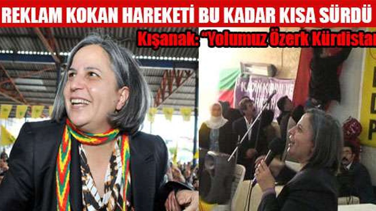 BDP'li Kışanak: Yolumuz Özerk Kürdistan