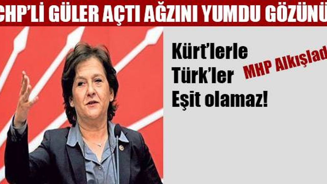 CHP'li Güler: Türk ulusuyla Kürt milliyetini eşit, eş değerde gördüremezsiniz