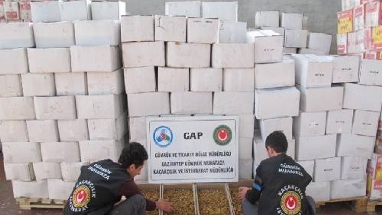 Gaziantep'te 7 ton kaçak ceviz içi ele geçirildi