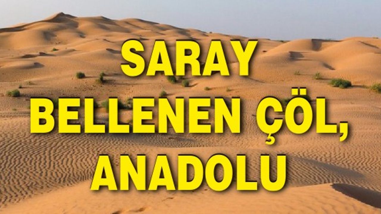 Saray bellenen çöl, Anadolu