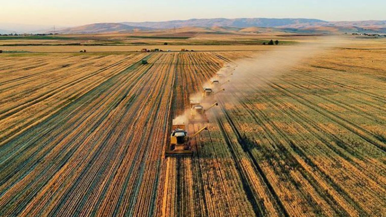 Türkiye, tarım için 10 ülkeden arazi kiralayacak