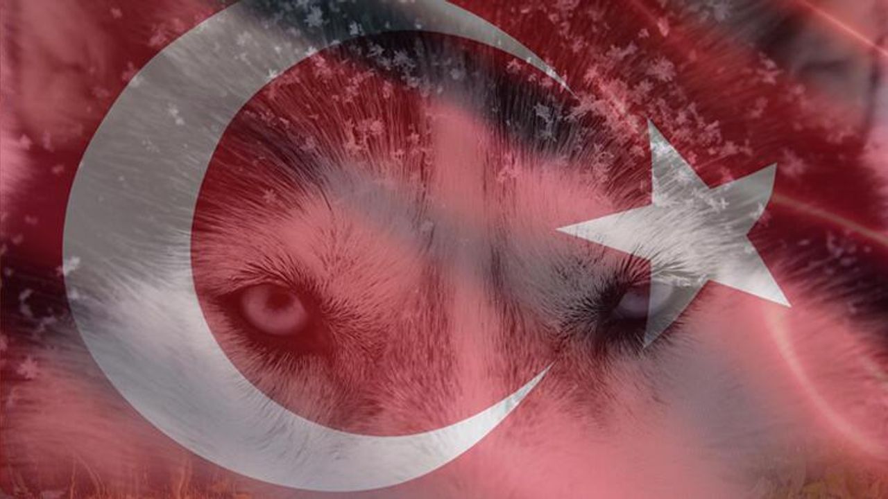 Türk’ü neden Türk yönetemez?