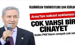 Arınç'tan PKK suikastı açıklaması!