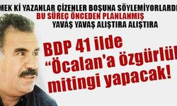 BDP 41 ilde 'Öcalan'a özgürlük' mitingi yapacak