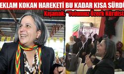 BDP'li Kışanak: Yolumuz Özerk Kürdistan