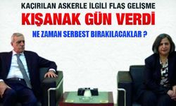 BDP'li Kışanak'tan rehine açıklaması