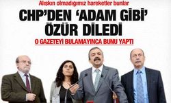 BDP'li Önder CHP'den özür diledi