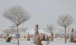 Bitlis’te havalar buz kesiyor