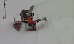 Bitlis'te kar yağışı 275 köy yolunu kapattı