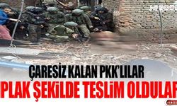 ÇARESİZ KALAN PKK'LILAR ÇIPLAK ŞEKİLDE TESLİM OLDULAR