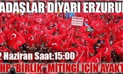 Dadaşlar diyarı Erzurum MHP 'Birlik' mitingi için ayakta 