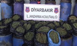 Diyarbakır’da 269 kilo esrar ele geçirildi