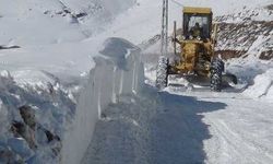 Doğuda kış: Bitlis’te 20 köy yolu ulaşıma kapandı