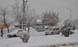 Doğuda kış: Muşta 145 köy yolu ulaşıma kapandı