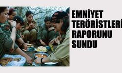 Emniyet, devlete PKK raporu sundu 