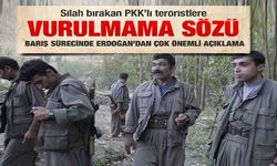 Erdoğan'dan silah bıracak PKK'lıya söz!