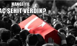 Hangi yıl kaç şehit verdik? 