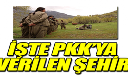 İŞTE PKK’YA  VERİLEN ŞEHİR 