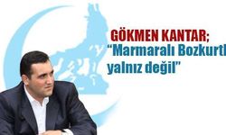 Marmaralı Bozkurtlar yalnız değil