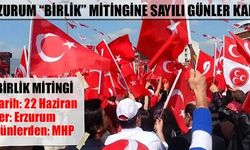 MHP Erzurum 'Birlik' mitingi hazırlıkları başladı