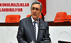 MHP Genel Başkan Yardımcısı Ayhan: Dokunulmazlıklar sulandırılıyor