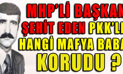 MHP'Lİ BAŞKANI ŞEHİT EDEN PKK'LIYI HANGİ MAFYA BABASI KORUDU ?