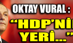 OKTAY VURAL : "HDP'NİN YERİ..."