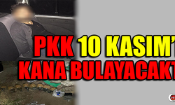 PKK 10 KASIM'I KANA BULAYACAKTI !