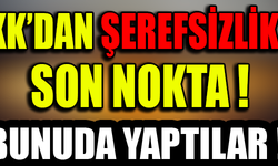 PKK'DAN ŞEREFSİZLİKTE SON NOKTA ! BUNUDA YAPTILAR !