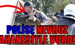POLİSE NEVRUZ BAHANESİYLE VURDU!