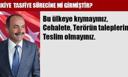 Sabri Şenel: Türkiye Tasfiye Sürecine mi Girmiştir?