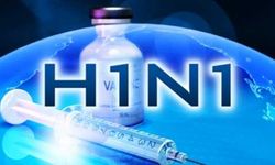 Şanlıurfa’da domuz grip vakasına rastlandı, hasta kontrol altında