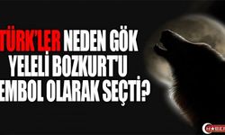 TÜRK'LER NEDEN GÖK YELELİ BOZKURT'U SEMBOL OLARAK SEÇTİ?