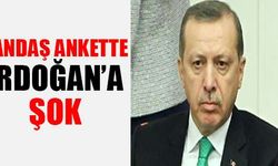 Yandaş ankette Erdoğan’a şok!