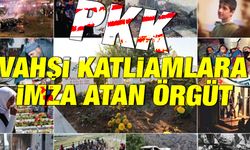 Bebek, çocuk, kadın, yaşlı demeden vahşi katliamlara imza atan örgüt: PKK