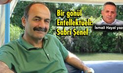 Bir gönül Entellektüeli: Sabri Şenel