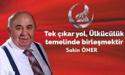 Tek çıkar yol, Ülkücülük temelinde birleşmektir