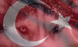 Din Bir Seçim Türklük İse Kaderimizdir
