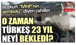Bozkurt MHP’nin sembolüyse Türkeş 23 yıl neyi bekledi?
