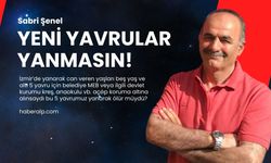 Yeni yavrular yanmasın!