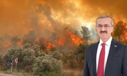 Millet Partisi Genel Başkanı Cuma Nacar'dan orman yangınlarına ilişkin açıklama