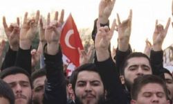 'Milliyetçilik' araştırmasında çarpıcı sonuçlar: MHP seçmeni 'Öcalan' sorusu için ne dedi?