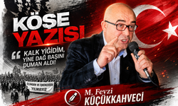Kalk Yiğidim, Yine Dağ Başını Duman Aldı!