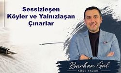 Sessizleşen Köyler ve Yalnızlaşan Çınarlar