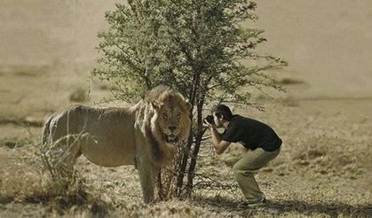 Çılgın fotoğrafçılar! 