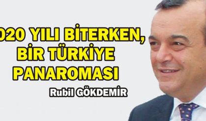 2020 YILI BİTERKEN, BİR TÜRKİYE PANAROMASI