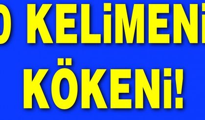 30 Kelimenin Kökeni