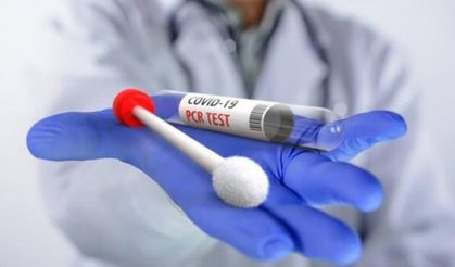 81 il valiliğine yazı: Aşısızlara PCR testi zorunluluğu kaldırıldı