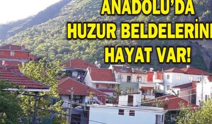 ANADOLU'DA HUZUR BELDELERİNDE HAYAT VAR!