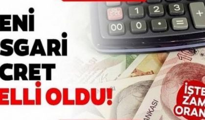 Asgari ücret 2020 zammı belli oldu! 